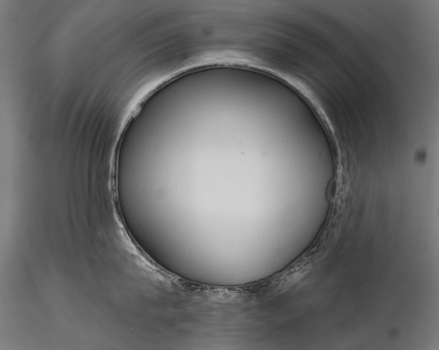 X0000116320815200912151241