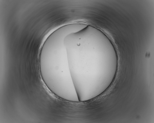 X0000116320816200912151241