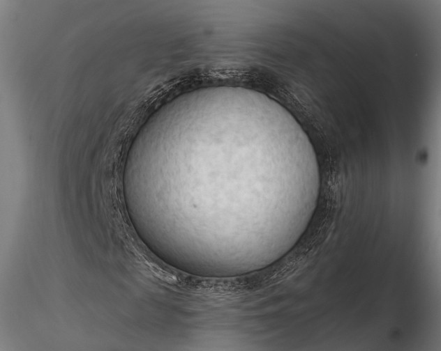 X0000116320817200912151240