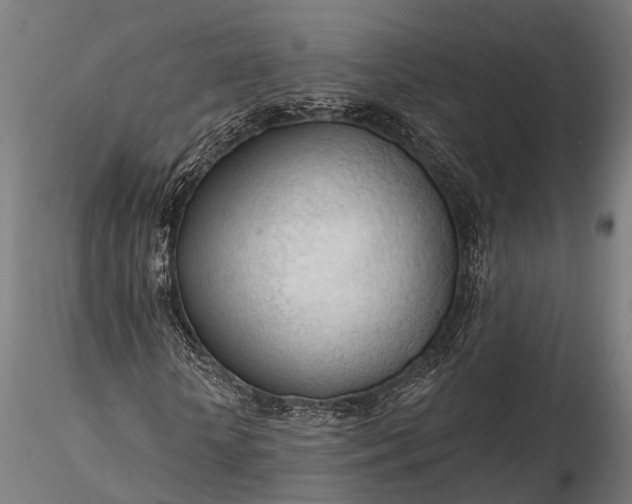 X0000116320818200912151240