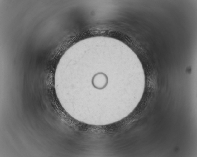 X0000116320820200912151240