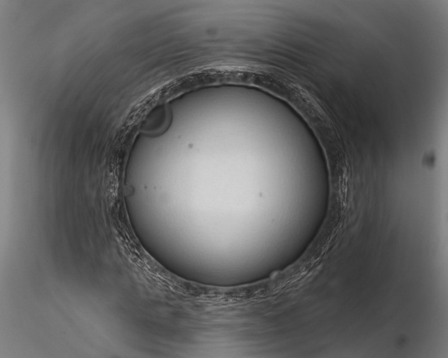 X0000116320821200912151240