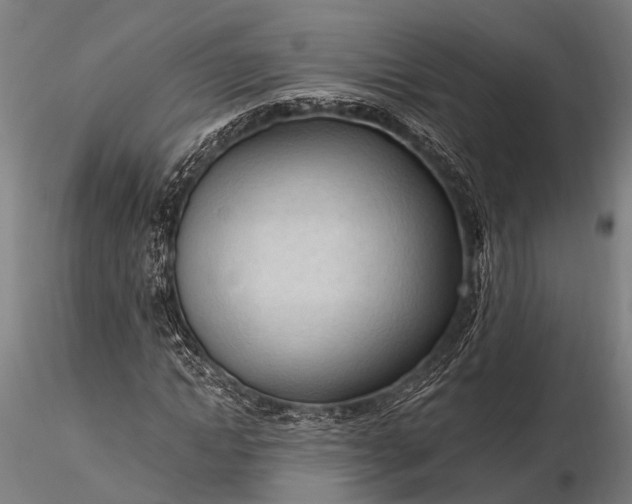 X0000116320822200912151240