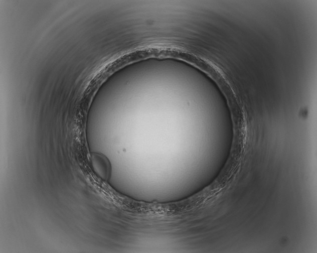 X0000116320823200912151240