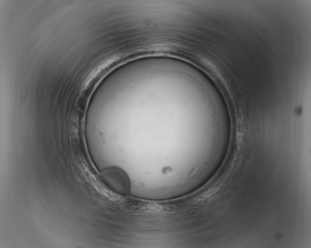 X0000116320827200912151240