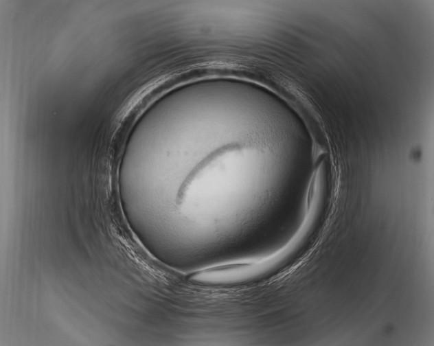 X0000116320829200912151240