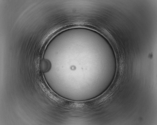 X0000116320831200912151240