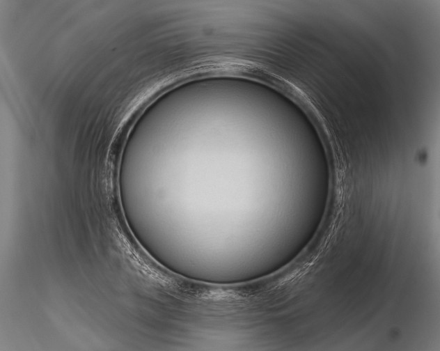 X0000116320835200912151240