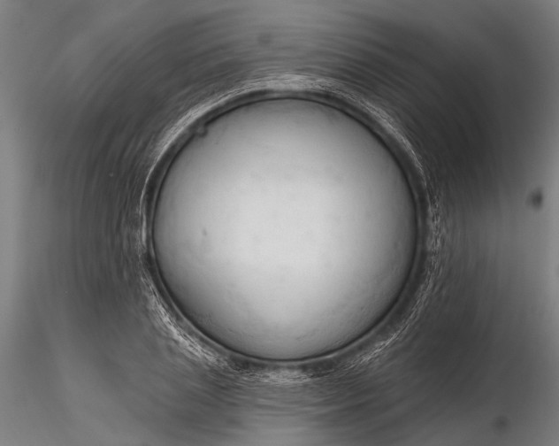 X0000116320837200912151240