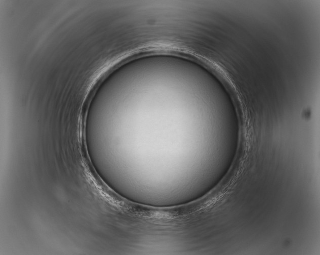 X0000116320839200912151240