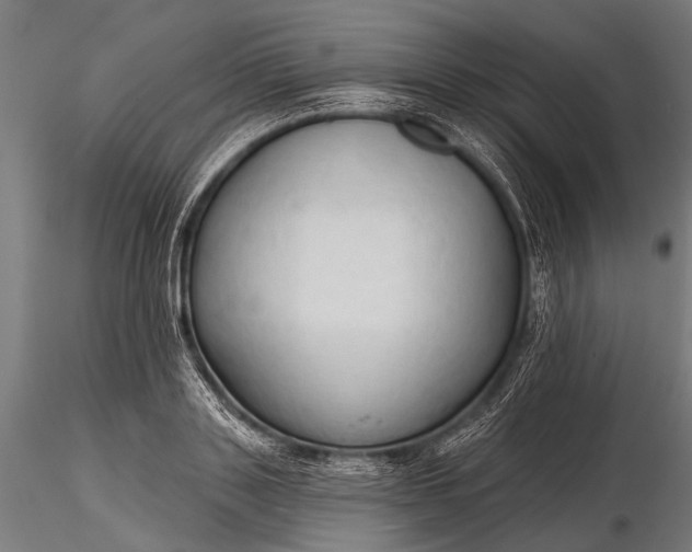 X0000116320843200912151240