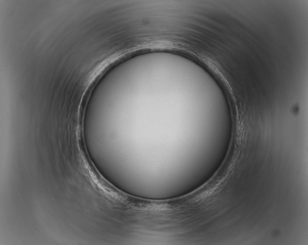 X0000116320845200912151241