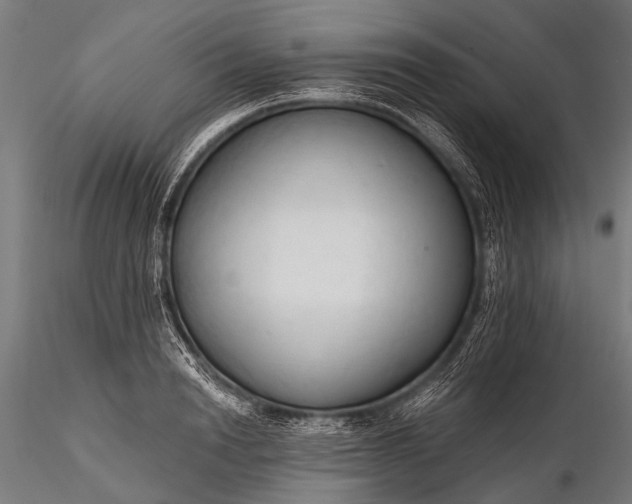 X0000116320846200912151241