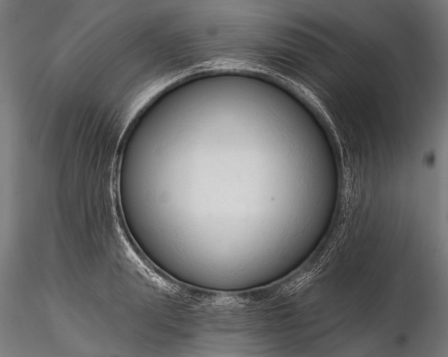 X0000116320847200912151241