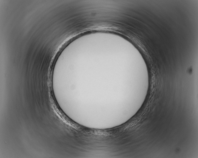 X0000116320848200912151241