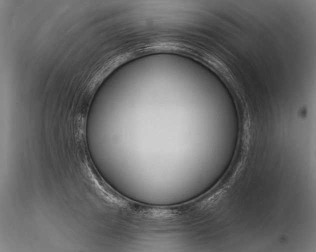 X0000116320849200912151241