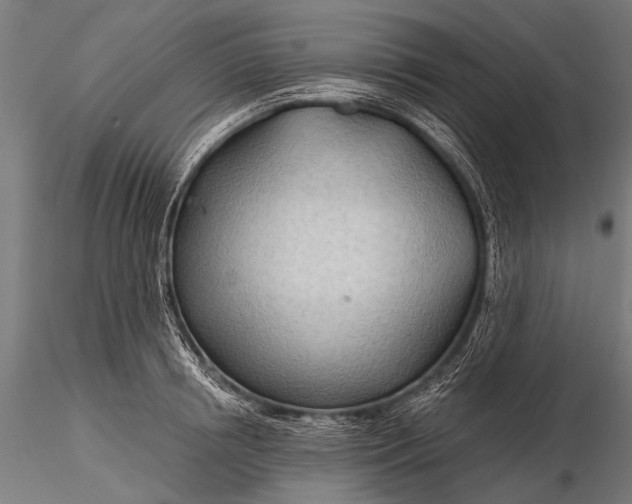 X0000116320850200912151241