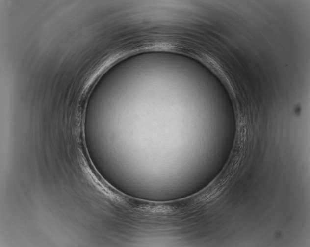 X0000116320851200912151241