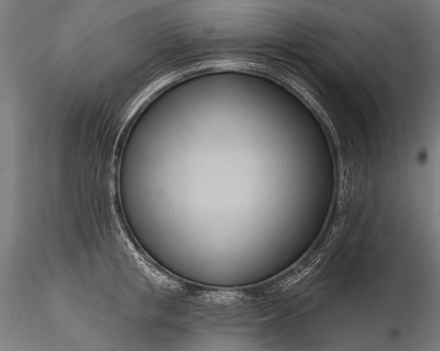 X0000116320853200912151241