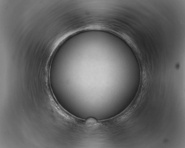 X0000116320854200912151241