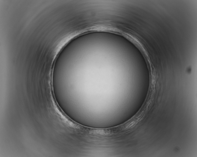 X0000116320855200912151241