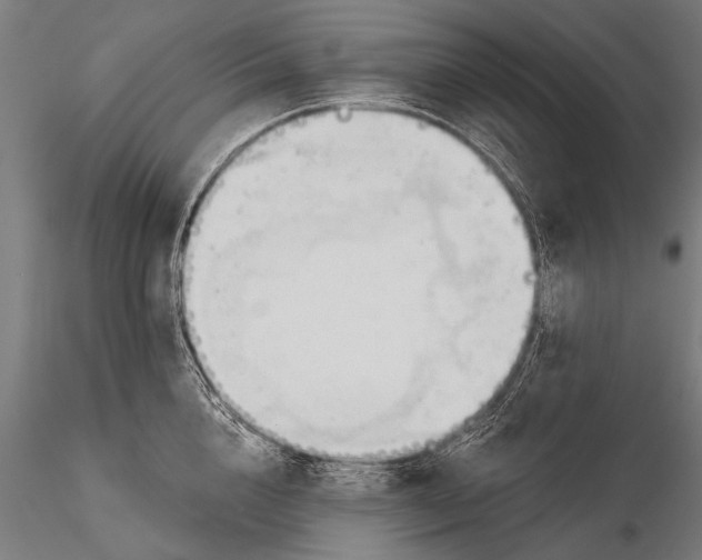 X0000116320856200912151241