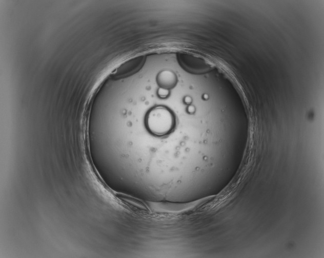 X0000116320859200912151241