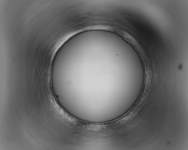 X0000116320860200912151241