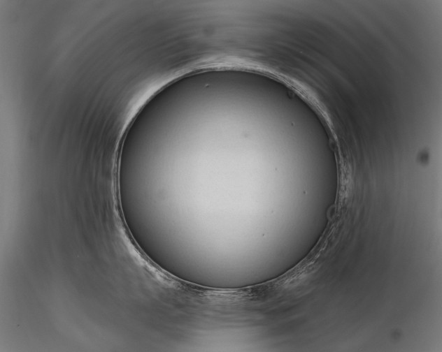 X0000116320863200912151241