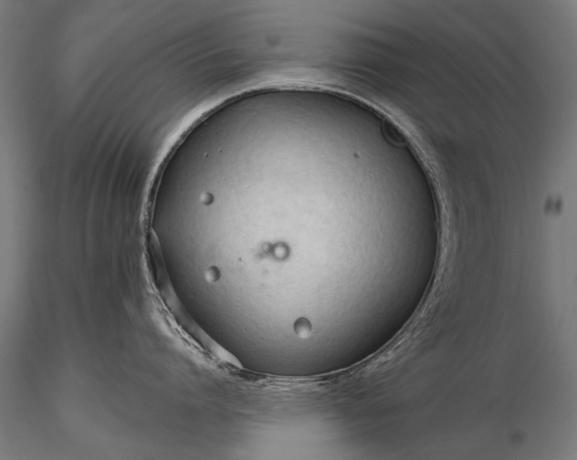 X0000116320864200912151241