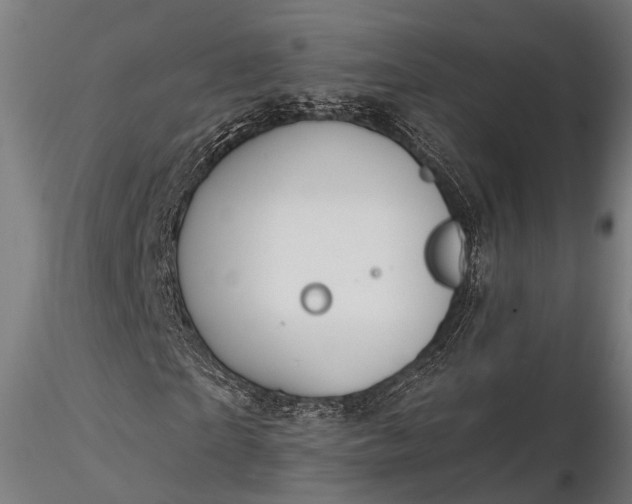 X0000116320865200912151240