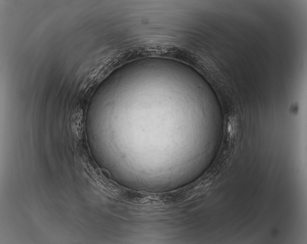 X0000116320867200912151240