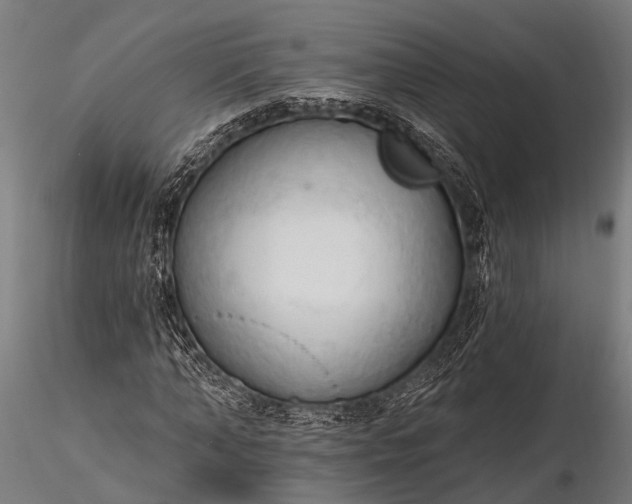 X0000116320870200912151240