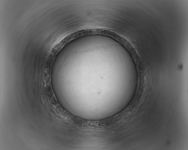 X0000116320871200912151240