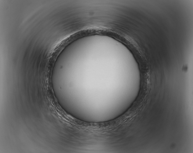 X0000116320872200912151240