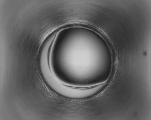 X0000116320877200912151240