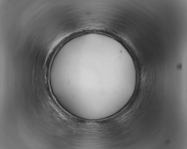 X0000116320878200912151240