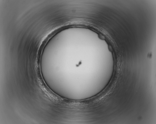 X0000116320880200912151240