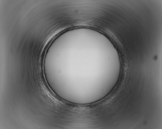 X0000116320884200912151240