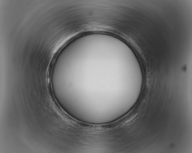 X0000116320885200912151240