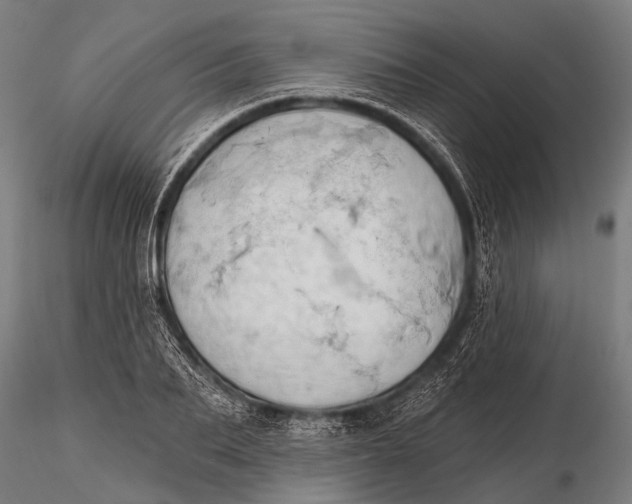 X0000116320887200912151240