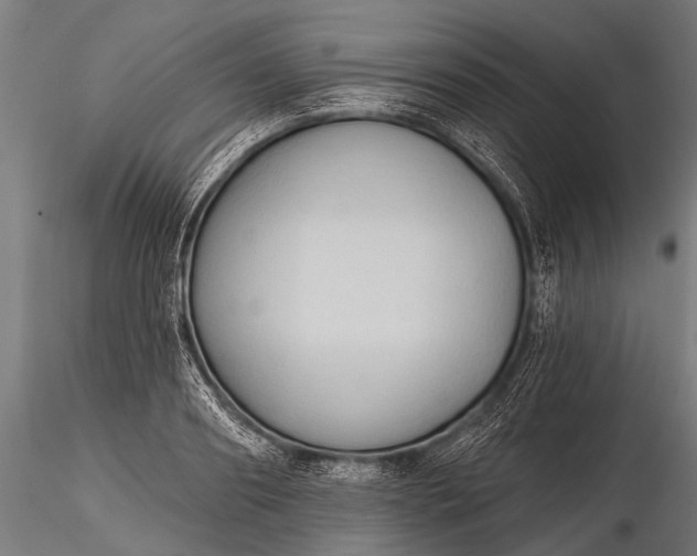 X0000116320890200912151240