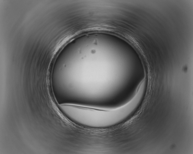 X0000116320893200912151240