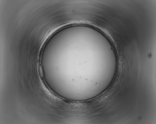 X0000116320895200912151240