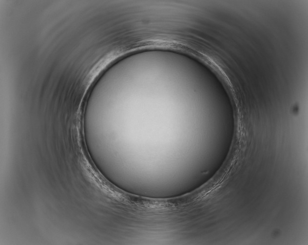 X0000116320899200912151239