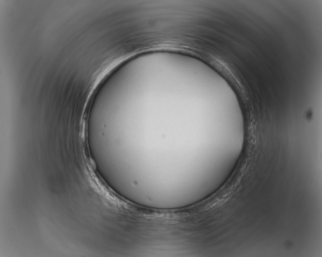 X0000116320900200912151239