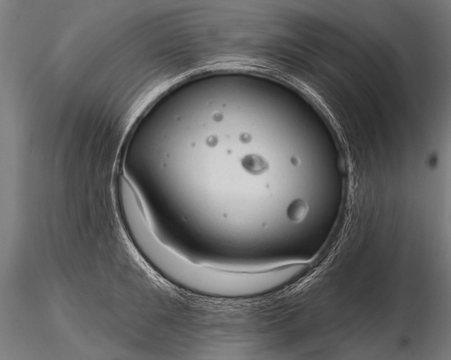 X0000116320901200912151239