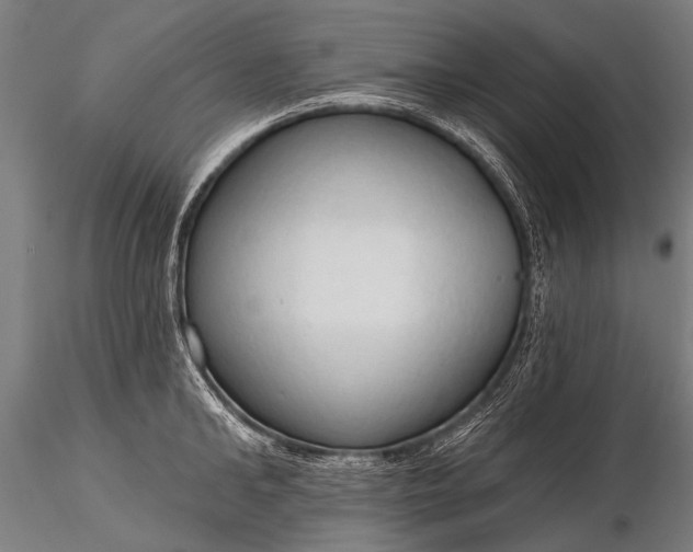 X0000116320902200912151239