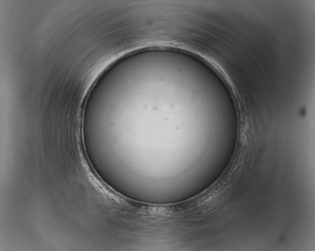 X0000116320903200912151239