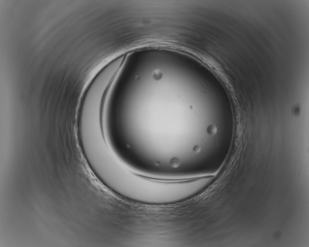 X0000116320904200912151239